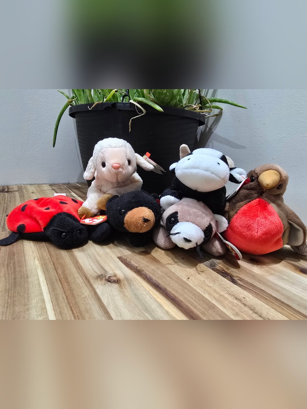 Ty Beanie Babies Cottage Core Set